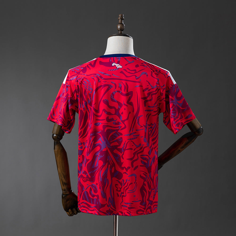 2026 Costa Rica Home Fan Version World Cup