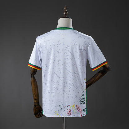 2026 Cameroon Away Fan Version World Cup