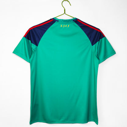 2010 Spain Goalkeeper Green Retro 8A