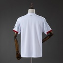 acmilanawayfanback.jpg
