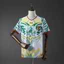 2026 Mali Third World Cup