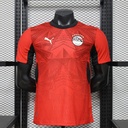 2026 Egypt Home Player Version World Cup